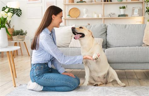 dog and lady sexy video|Beautiful Girl Playing with her Dog on Bed